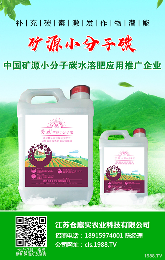 �R������l(f��)���߲���ô�k���R������߲����η�����