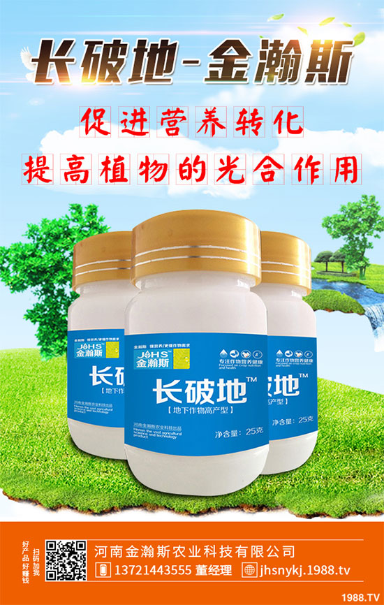 ʮ�·��߲�ԓ��ô������2019��10���߲˷Nֲ����ָ��