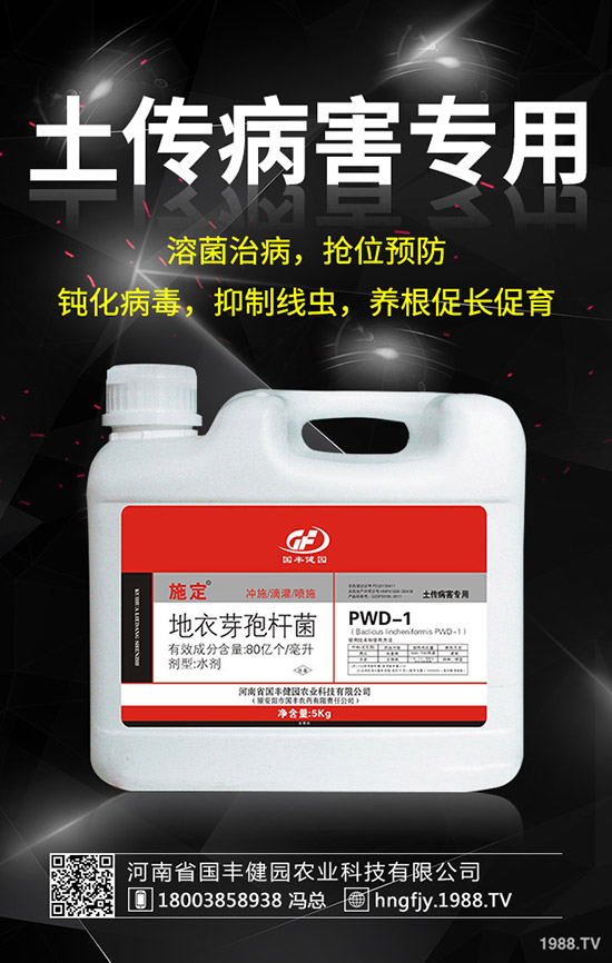 С�����݄�ʲô�r(sh��)������С������݄��ĕr(sh��)�g��ע�����(xi��ng)��