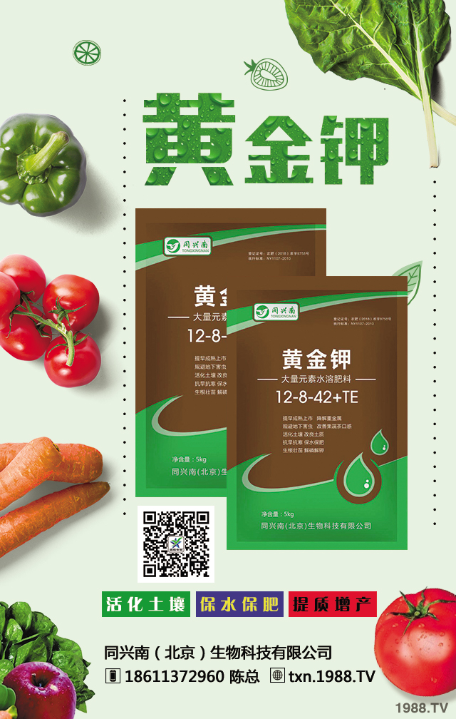 ��������Ƽ����޹�˾ (2)