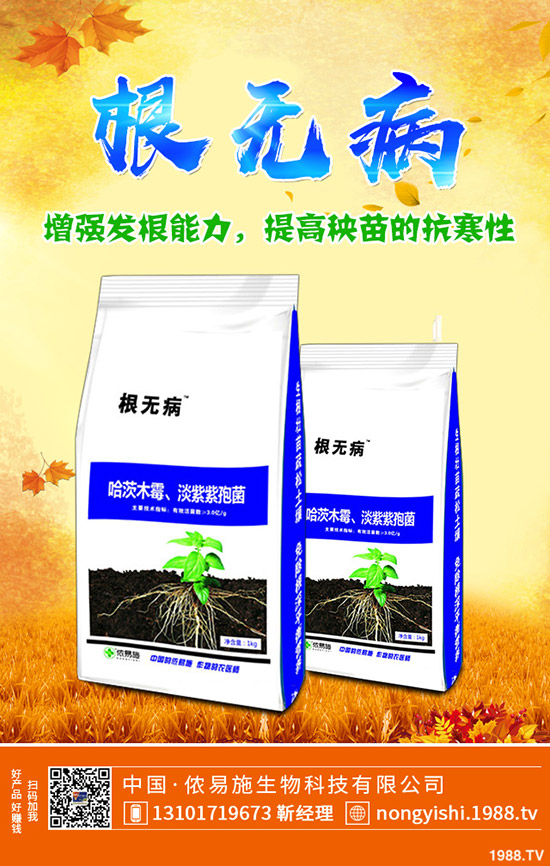     �����ǟ���߀�Ǜ��ԣ��c������˵�ʳ������Щ��