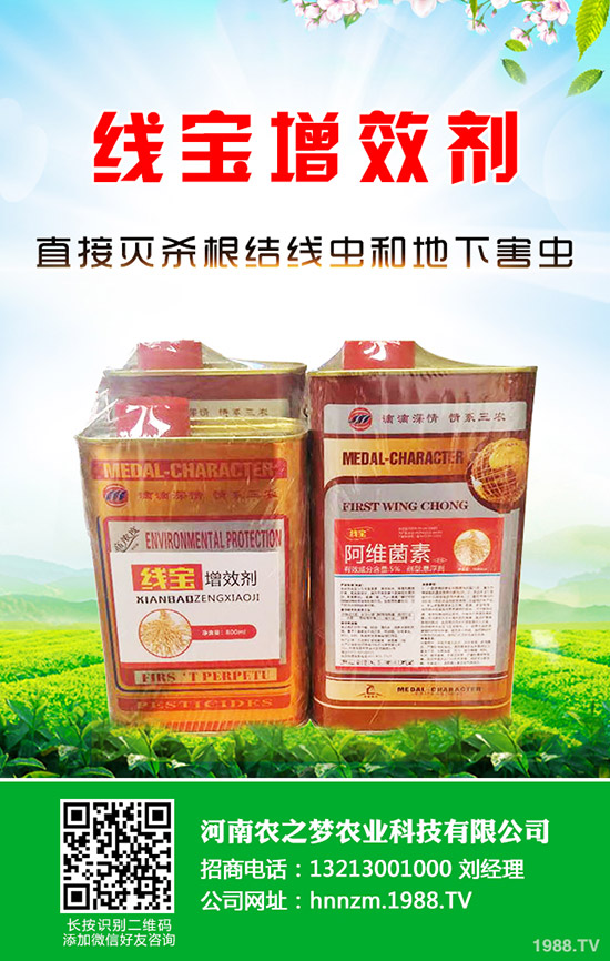 �۲˰l(f��)ѿ����ν�Q���۲˵Ĵ�ѿС���ɣ�