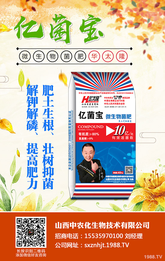     2019��10��18�ս���������(n��i)���@�r(ji��)�������߄�(sh��)