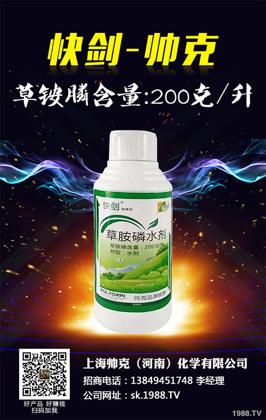 �����ݰ�