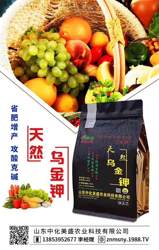 �۲˞�ʲô�����F(xi��n)�������۲˿��ĵķ��δ�ʩ��