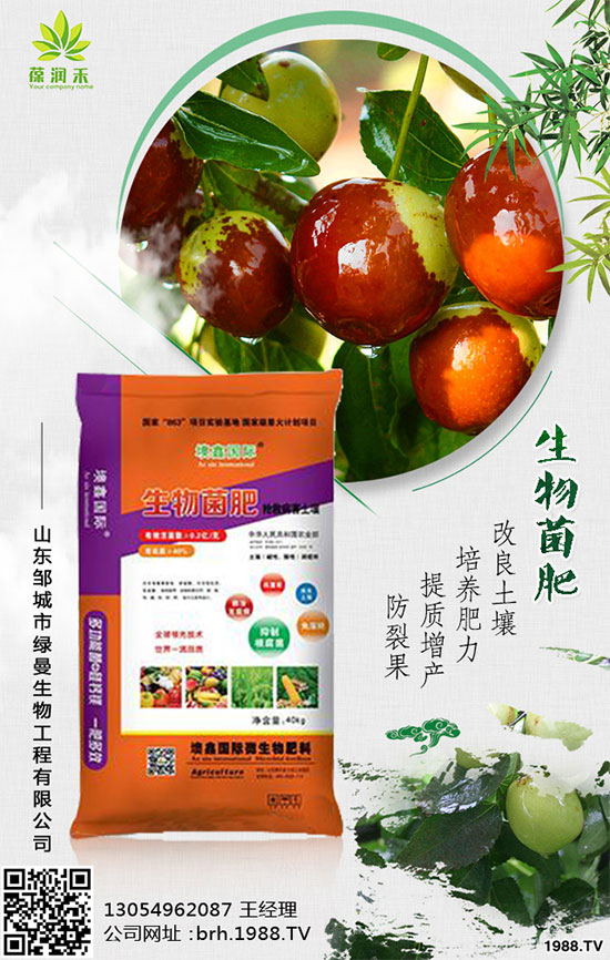 大棚西紅柿怎么栽培?大棚西紅柿高產(chǎn)栽培!