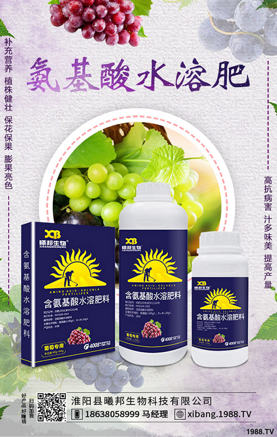 �＾�}����ô�Nֲ���＾�}���Nֲ���g(sh��)������Ҫ�c(di��n)��