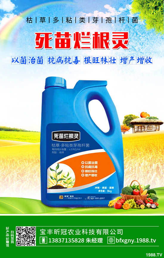 ��ô�Nֲ�_�h�����_�h���Nֲ������B��