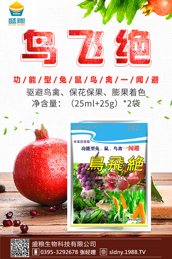 �������t������ڷ����������t���ڷ۷�������Щ��