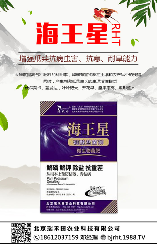 2020��Nֲ������ٍ�X�᣿�������ķNֲǰ��������