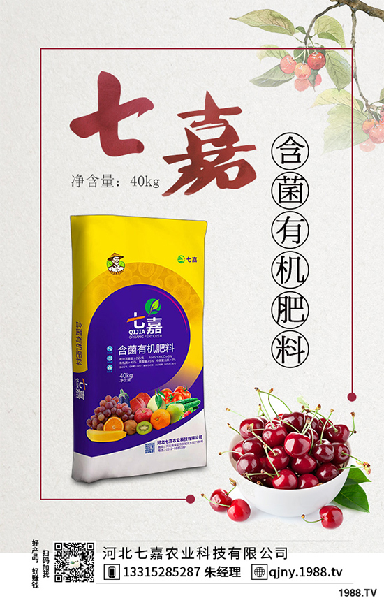 11�·��r(n��ng)�°�������Щ��2019�ﶬ�߲˷Nֲָ��