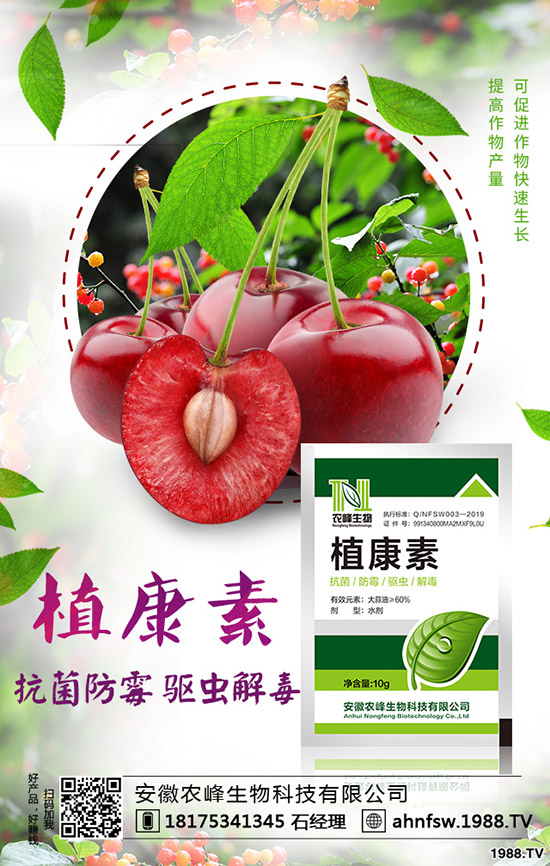 ��(d��ng)�w��ô�Nֲ����(d��ng)�w�NֲЧ�漰���༼�g(sh��)��