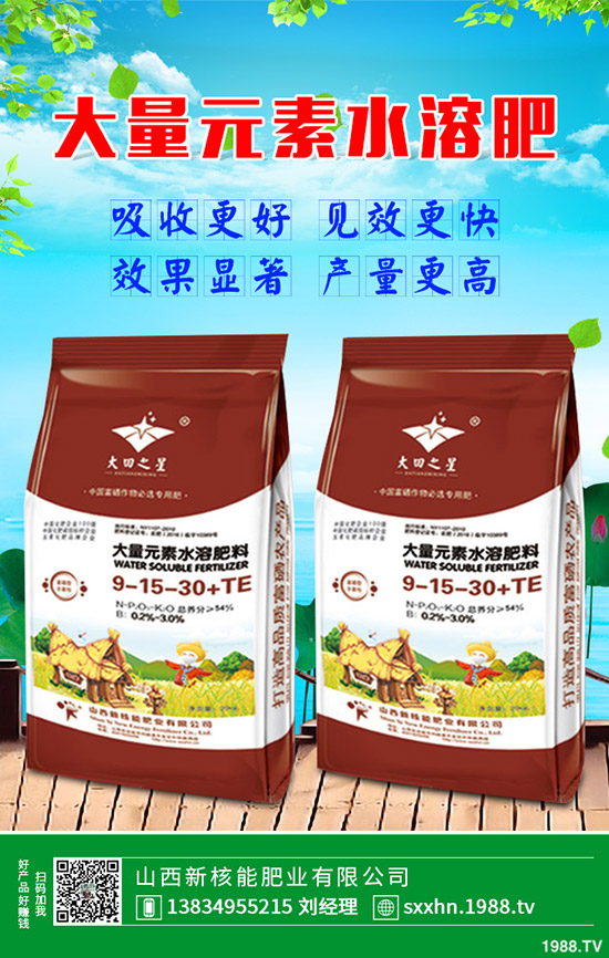 �ѹ�Ӣ�Nֲӯ����ʽ��һ���ѹ�Ӣ��(j��ng)��(j��)Ч�����ӣ�2020�зNֲǰ��ô��