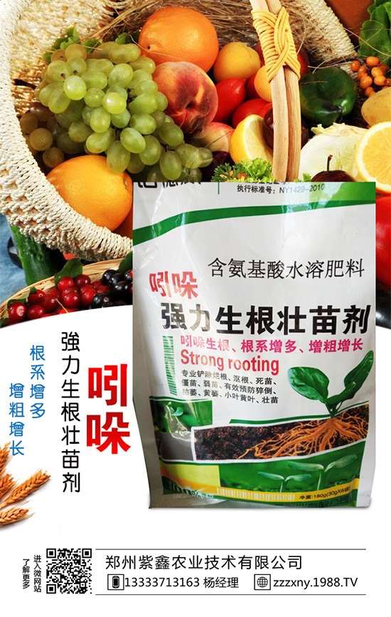 春芝麻種植時(shí)間是什么時(shí)候嗎?春芝麻種植管理技術(shù)!