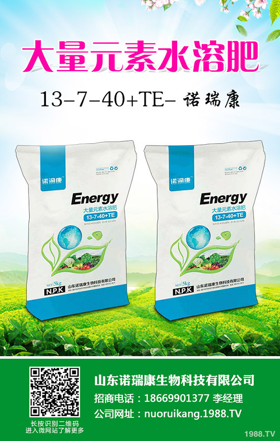 2020年大蒜價(jià)格行情怎么樣?賺錢(qián)不?種植面積會(huì)增大么?