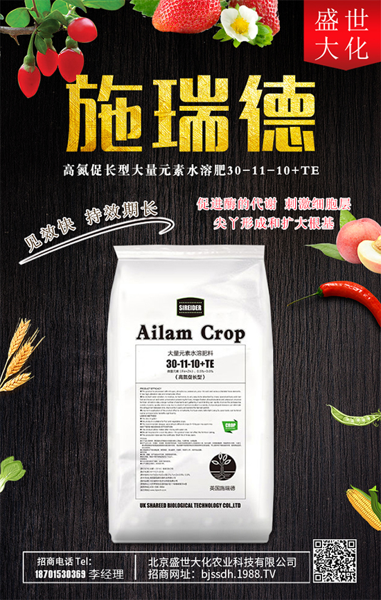 ʯ����ʲô�I�B(y��ng)�rֵ��ʯ������Щʳ�ù�Ч��