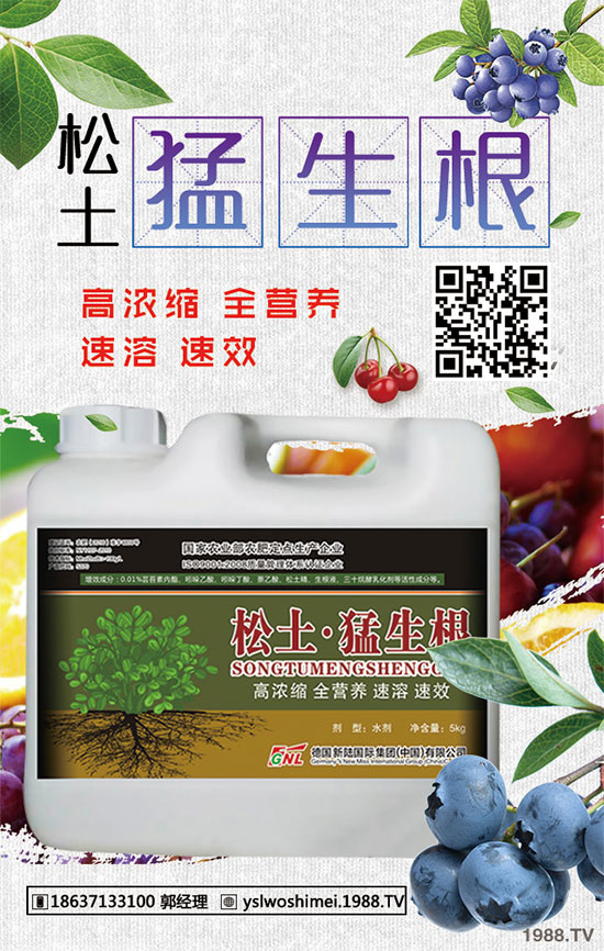 ��������Щ��Ч�����������ӵ�ʳ�ý�����