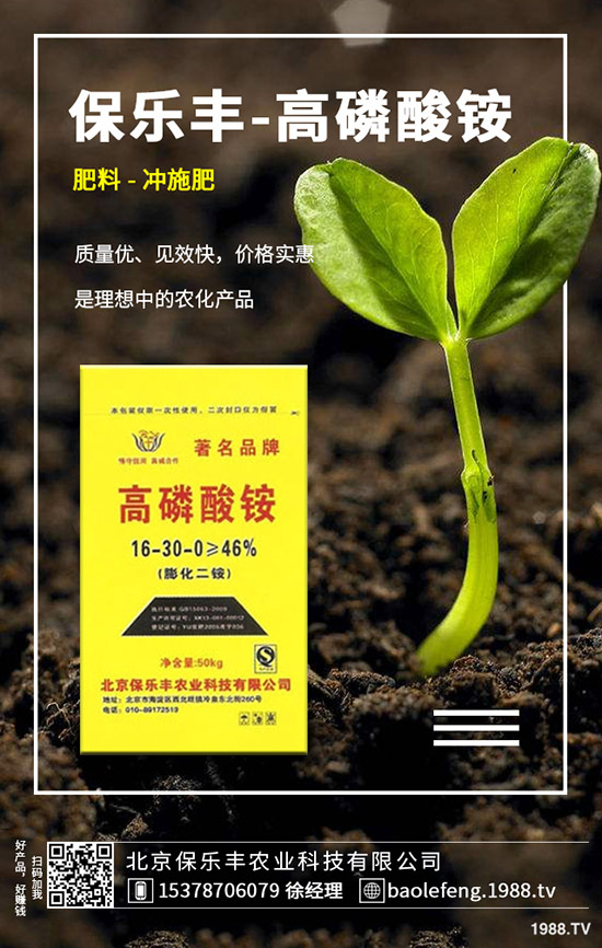 ����(n��i)���@�r����ϝq����2019.11.29���ո������@���S��r��