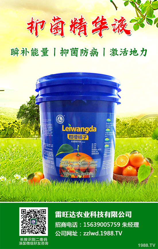 長期低溫寡照,蔬菜長勢差該如何解決?冬季大棚補光的幾項措施