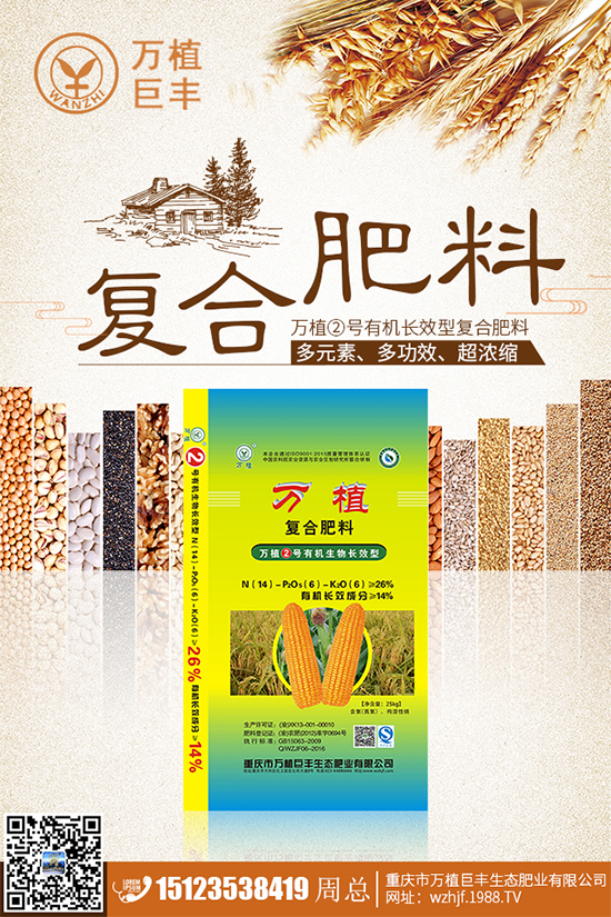 溫室大棚茄子該如何栽培?冬季大棚高產栽培技術