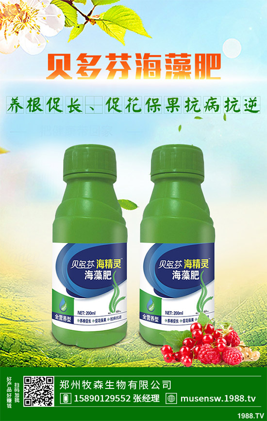 ���E��ʲô�@ô���˚gӭ�����E���Ј�(ch��ng)�������