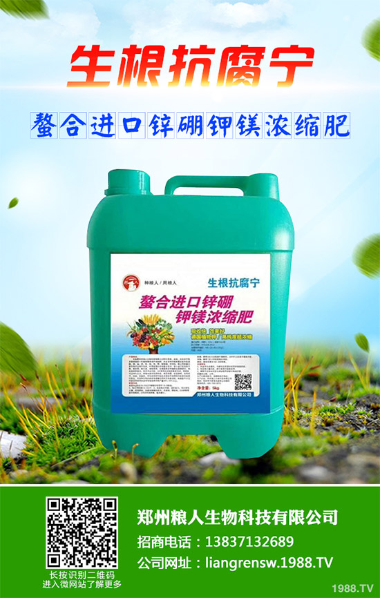 ���E����Щ�I(y��ng)�B(y��ng)�r(ji��)ֵ�����E�ĠI(y��ng)�B(y��ng)�r(ji��)ֵ����Ч����