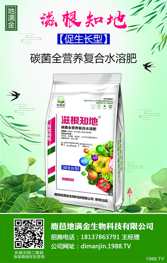 ���G�Ӷ����Xһ�2020�����G�ӷNֲǰ����Ч�����