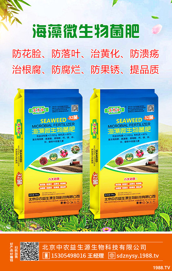     2020�괺��(ji��)�r���r(ji��)���A(y��)Ӌ(j��)�����q���������Xһ���������q�r(ji��)ԭ�������