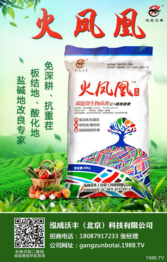     2020��Nֲ����ٍ�Xô��ǰ�����ӣ�һ������Ͷ�Y��Ч�������