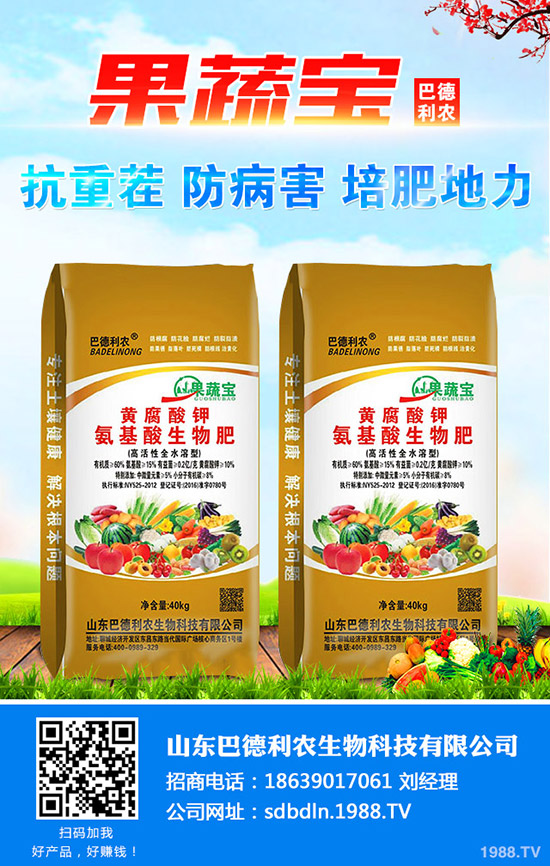 2020種植小黃姜怎樣?價格行情好么?小黃姜種植效益高不高!