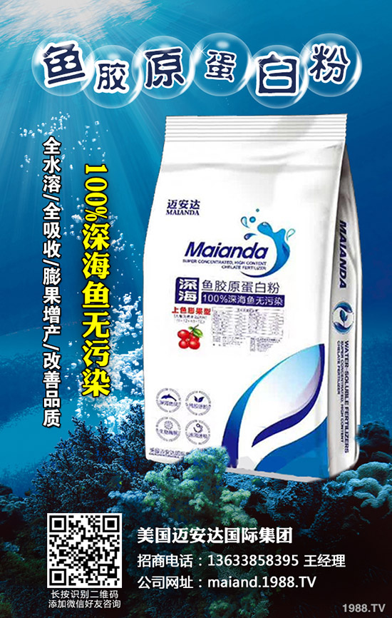     2020�������r������Xһ�ã����ٷNֲǰ����ô����ٍ�Xô��