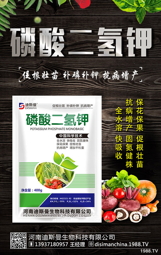 ������ô�Nֲ�������Nֲ�������ճ��������ɣ�