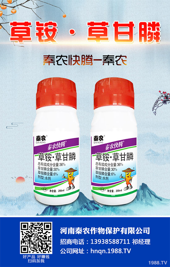 Prentiss�������������s�ݳ��݄�Camp-D ��2��4-D�Ͱ��������