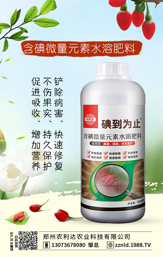 紅蘿卜如何管理才能豐收?六大科學管理我們知道嗎?