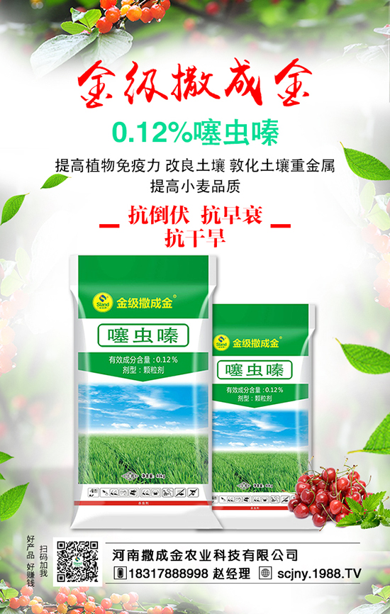 ɽ高�(sh��)ʩ������С����