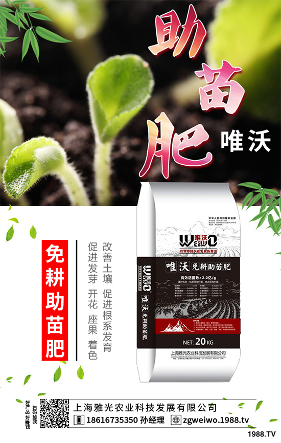 山藥什么時(shí)候采收?山藥的貯藏方法有哪些?