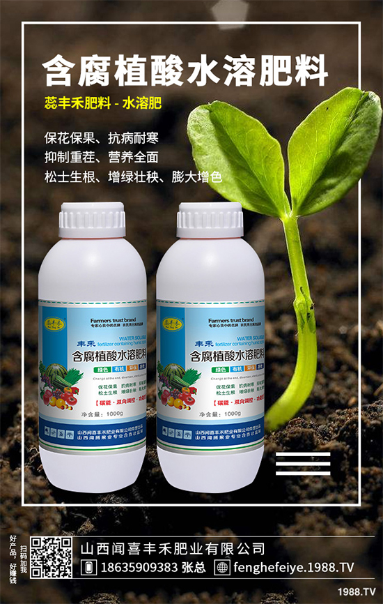 盆栽蔬菜該怎么種?盆栽蔬菜的高產種植技術