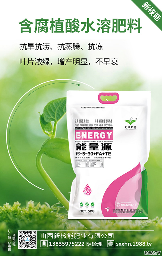 盆栽蔬菜該怎么種?盆栽蔬菜的高產種植技術
