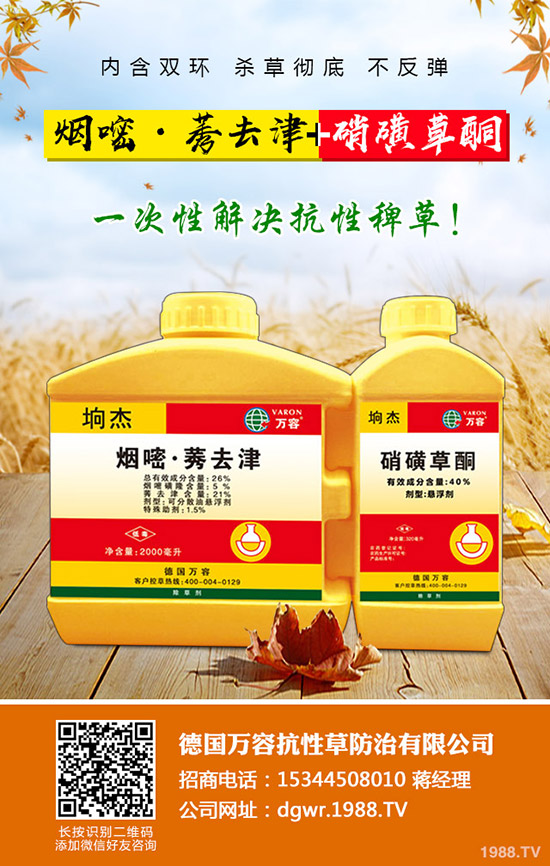 ������Nֲ�ļ���(ji��)�����Ӹ߮a(ch��n)�NֲҪ�c(di��n)��