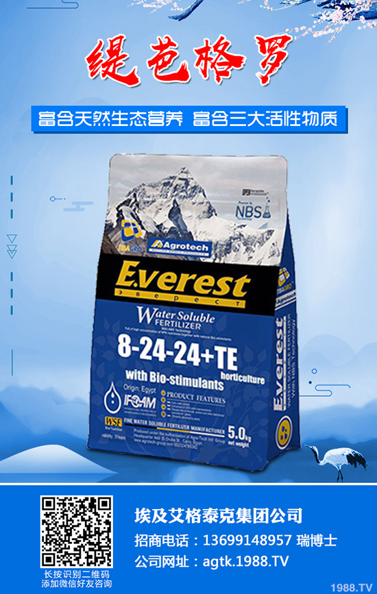 ����ʲô�r�g���磿�������緽��