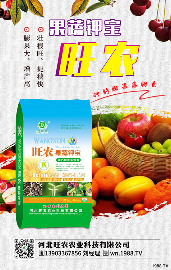 ��������ķNֲ�r(sh��)�g������������������Ҫ�c(di��n)����Щ��