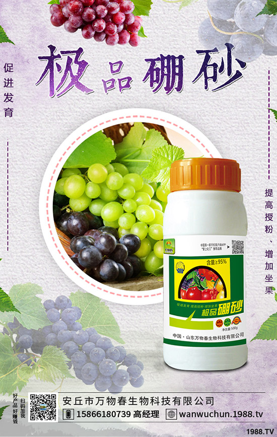 �����ηNֲ����轷Nֲ�l������Щ��