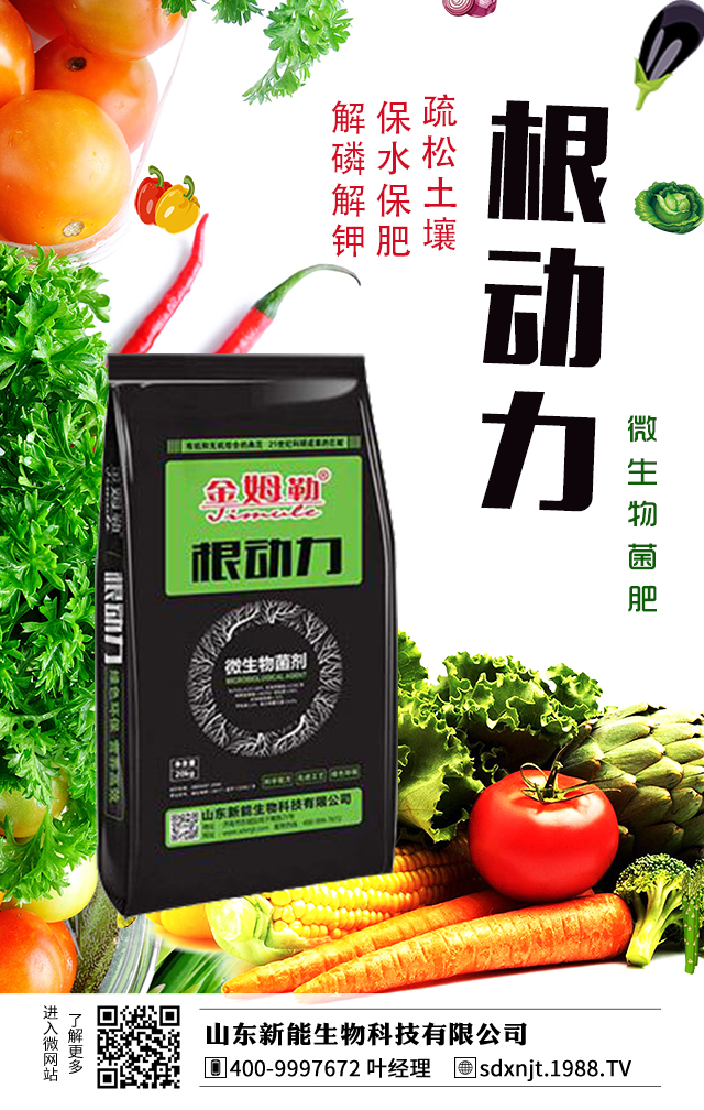 �R��������������νo�R���ʩ�ʣ�