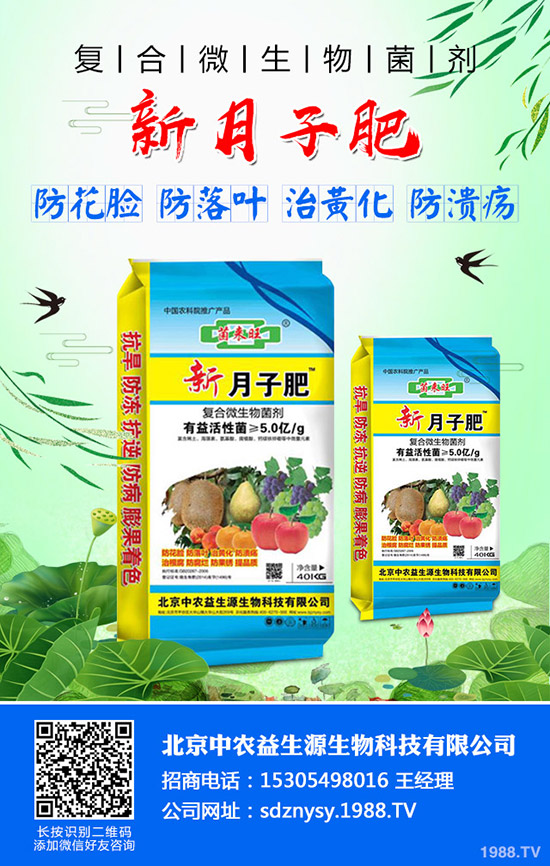 蔬菜黃葉是什么原因?蔬菜黃葉防治技巧!