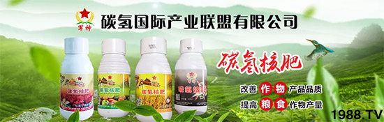 �ϰټ�ý�w��������쳬�^�W��ʳƷ��(bi��o)��(zh��n)������̼?x��)�˷ʾ����@ô�𱬣�