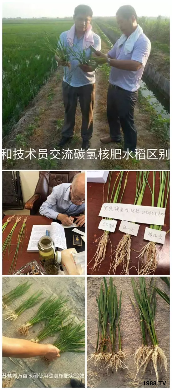 �ϰټ�ý�w��������쳬�^�W��ʳƷ��(bi��o)��(zh��n)������̼?x��)�˷ʾ����@ô����