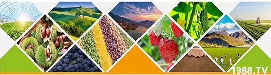 �����������L(zh��ng)���߉��£����ͷ���Ѹ������������ƌW(xu��)���L(zh��ng)���g�޴���