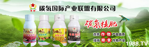 �����������L(zh��ng)���߉��������ͷ���Ѹ����������ƌW(xu��)���L(zh��ng)���g�޴���