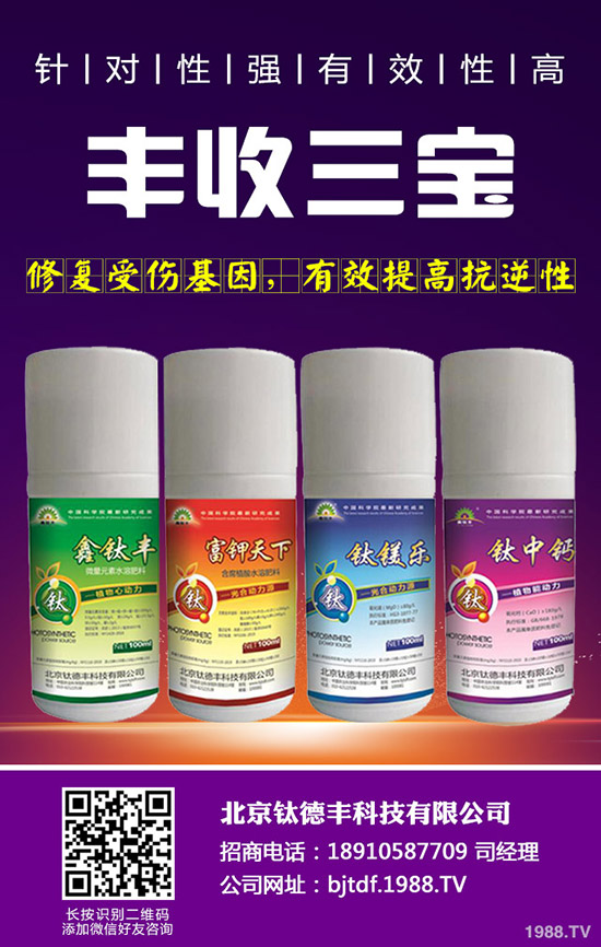 �������ʩ�ʲ��ܸ߮a(ch��n)������߮a(ch��n)ʩ�ʼ��g(sh��)��