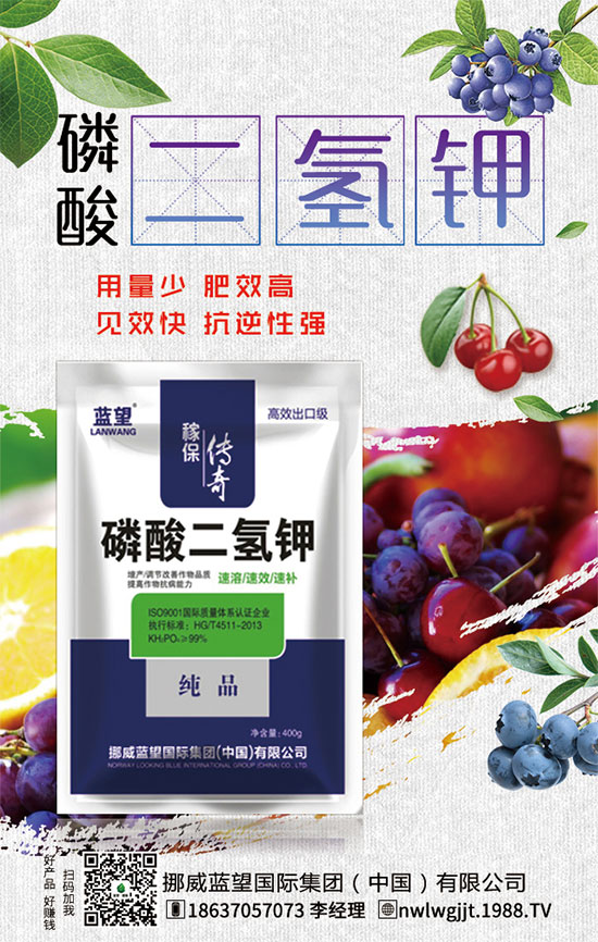 ������t����ֲע�������������t������ڹ�������